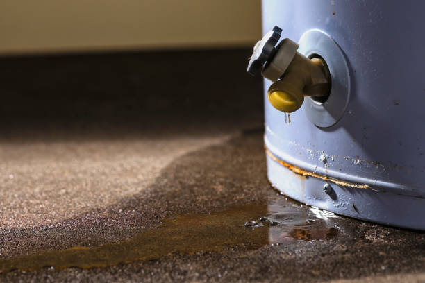 Best Water damage restoration near me  in Mayfield, KY