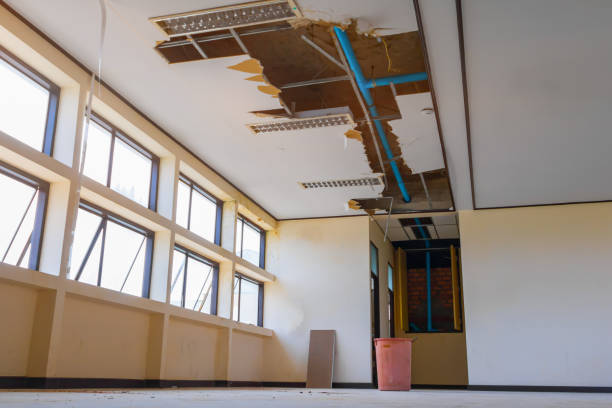 Best 24/7 water damage repair  in Mayfield, KY
