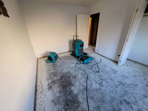 Mayfield, KY Water damage restoration Pros