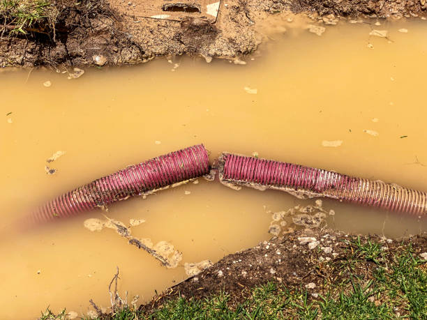 Local water damage restoration in Mayfield, KY